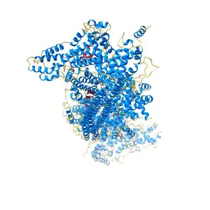 The WAVE Regulatory Complex Links Diverse Receptors to the Actin Cytoskeleton