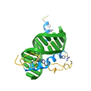 ZINC FINGER-DNA RECOGNITION: CRYSTAL STRUCTURE OF A ZIF268-DNA COMPLEX AT 2.1 ANGSTROMS