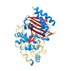 Crystal Structure of plasmid-encoded class C beta-lactamase CMY-2 complexed with citrate molecule