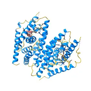 Complex Structure of LXR with an agonist