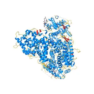 HNF4alpha in complex with the corepressor EBP1 fragment
