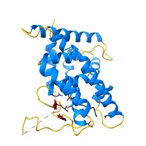 Hepatocyte Nuclear Factor 4 is a Transcription Factor that Constitutively Binds Fatty Acids