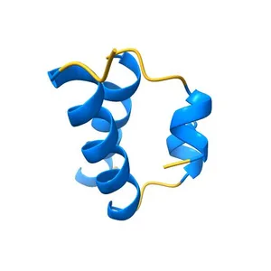 WILD-TYPE HNF-1ALPHA DIMERIZATION DOMAIN