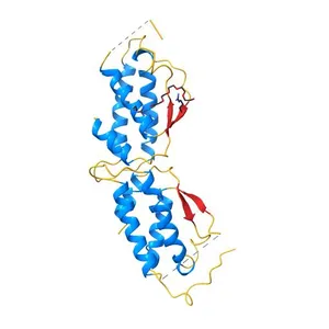 HUMAN RECOMBINANT STEM CELL FACTOR