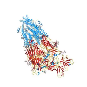 Human alpha3beta4 nicotinic acetylcholine receptor in complex with nicotine