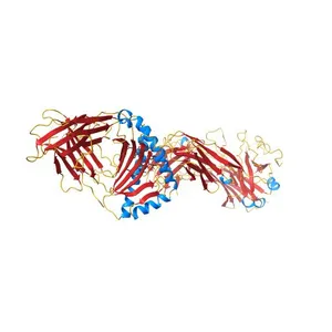 Structure of human MR1-Ac-6-FP in complex with human MAIT TRBV6-1 TCR
