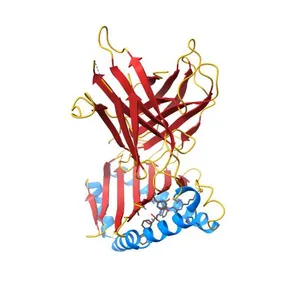 Structure of human MR1-5-OP-RU in complex with human MAV36 TCR