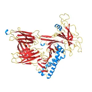 Model of the Ac-6-FP/hpMR1/bB2m/TAPBPR complex from integrated docking, NMR and restrained MD
