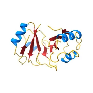 Crystal structure of RNA-binding motif of human rna-binding protein 12