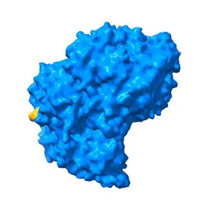Structure of the Vesicular Stomatitis Virus L Protein in Complex with Its Phosphoprotein Cofactor (3.0 A resolution)