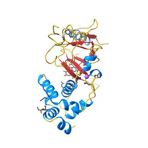 Structure of the replication foci-targeting sequence of human DNA cytosine methyltransferase DNMT1