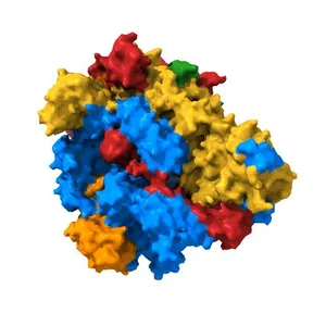 RNA polymerase I-Rrn3 complex at 4.8 A resolution