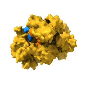 Crystal structure of Cas9-sgRNA-DNA complex solved by native SAD phasing