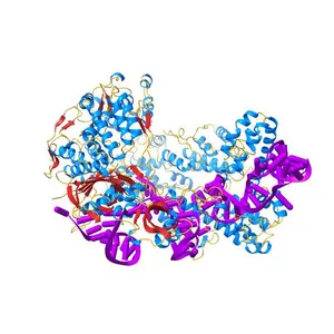 Nuclease-inactive Streptococcus pyogenes Cas9 (D10A/H840A, dCas9) in complex with single-guide RNA at 3.1 Angstrom resolution