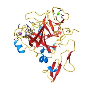 Aminopyrrolidine-related triazole Factor Xa inhibitor