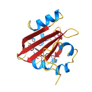 PYP Ultra-high resolution structure of a Bacterial Photoreceptor