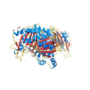 X-RAY STRUCTURE OF A DELETION VARIANT OF HUMAN GLUCOSE 6-PHOSPHATE DEHYDROGENASE COMPLEXED WITH STRUCTURAL AND COENZYME NADP