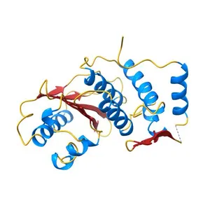 SUMO protease Ulp1 with the catalytic cysteine oxidized to a sulfenic acid