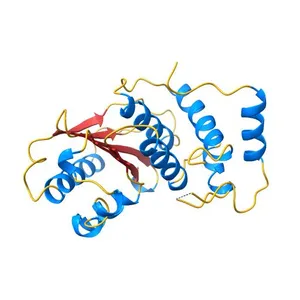 SUMO protease Ulp1 with the catalytic cysteine oxidized to a sulfonic acid