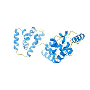 Crystal structure of FliG (residues 86-343) from H. pylori