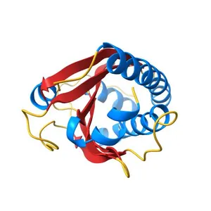 Crystal structure of FliM middle domain from H. pylori
