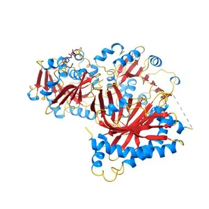 Crystal structure of FliM-SpeE complex from H. pylori