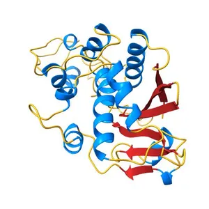 Crystal structure of a new ribosome-inactivating protein (RIP): dianthin 30