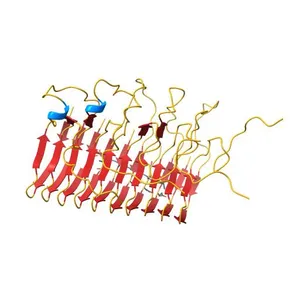 HADDOCK calculated model of Congo red bound to the HET-s amyloid