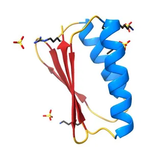 De novo designed protein Peak6