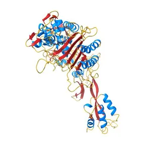 Penicillin-binding protein 2X (PBP 2X) acyl-enzyme complex (biapenem) from Streptococcus pneumoniae