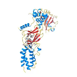 CRYSTAL STRUCTURE OF AT7 IN COMPLEX WITH THE SECOND BROMODOMAIN OF HUMAN BRD4 AND PVHL:ELONGINC:ELONGINB