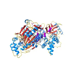 Crystal structure of the Prp43-ADP-BeF3-U7-RNA complex