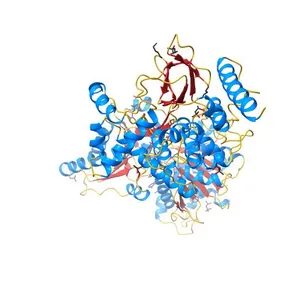 Crystal structure of the Prp43-ADP-BeF3 complex (in orthorhombic space group)