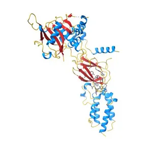 The PROTAC MZ1 in complex with the second bromodomain of Brd4 and pVHL:ElonginC:ElonginB