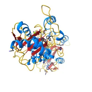 2.0A crystal structure of Lymphocytic Choriomeningitis Virus Nucleoprotein C-terminal Domain