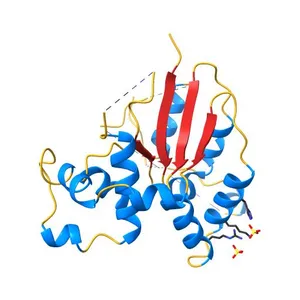 Structure of a Kluyveromyces lactis protein involved in RNA decay