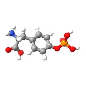 O-Phospho-L-tyrosine
