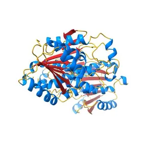 ALCOHOL DEHYDROGENASE FROM DROSOPHILA LEBANONENSIS