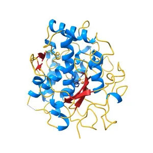 CATECHOL OXIDASE FROM IPOMOEA BATATAS (SWEET POTATOES) IN THE NATIVE CU(II)-CU(II) STATE