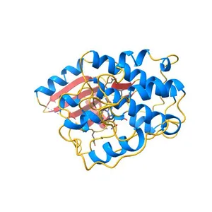 HUMAN CYCLIN-DEPENDENT KINASE 2
