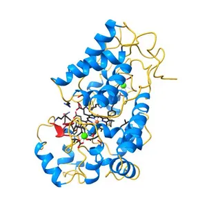Ferric horseradish peroxidase C1A in complex with formate