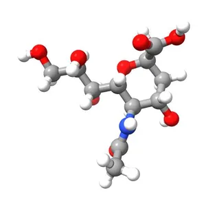 O-sialic acid