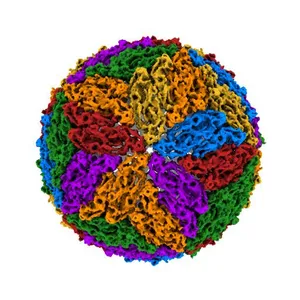 Cryo-EM structure of Dengue virus serotype 3 at 28 degrees C