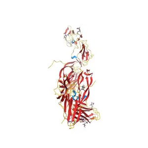 The structure of a platelet derived growth factor receptor complex