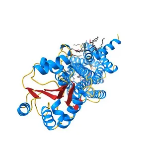 Crystal structure of human orexin 2 receptor bound to the selective antagonist EMPA determined by the synchrotron light source at SPring-8.