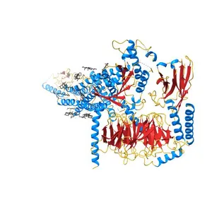 Cryo-EM structure of parathyroid hormone receptor type 1 in complex with a long-acting parathyroid hormone analog and G protein