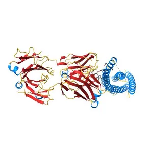 Crystal structure of the HIV-1 neutralizing antibody D5 Fab bound to the gp41 inner-core mimetic 5-helix