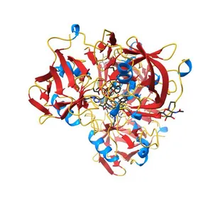 THE CRYSTAL STRUCTURE OF RECOMBINANT GLYCOSYLATED HUMAN RENIN ALONE AND IN COMPLEX WITH A TRANSITION STATE ANALOG INHIBITOR