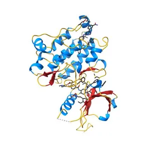 Structure of Abl kinase in complex with imatinib and GNF-2