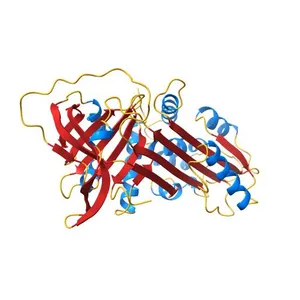 Alpha-1-antitrypsin (Ala250Met) in the native conformation